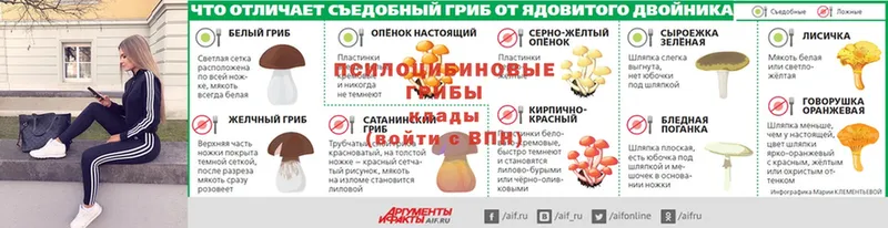 darknet формула  Борисоглебск  Псилоцибиновые грибы GOLDEN TEACHER 